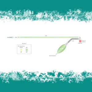 CIRCUITO MAPLESON NEONATALE Mod. a T