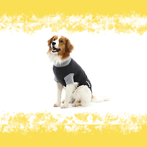 VESTITO PROTEZIONE PER CANI