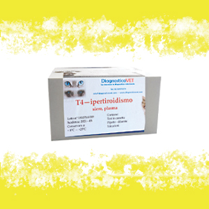 T4 IPERTIROIDISMO