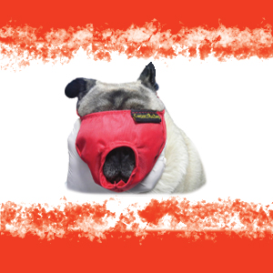 MUSERUOLA CANI BUSTER