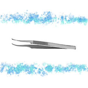 PINZA ANATOMICA CURVA