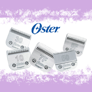 PETTINI OSTER