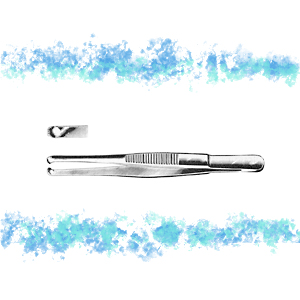 PINZA DI DURANTE