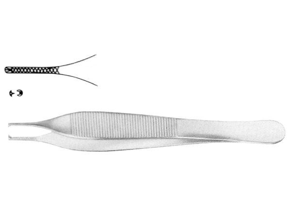 PINZA CHIRURGICA ADSON - immagine 2