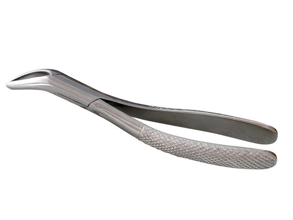 PINZA DI VITZEL - immagine 5