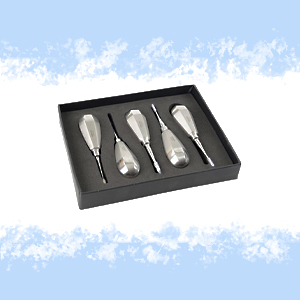 SET LEVE DENTALI CON MANICO STANDARD