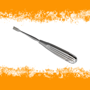 RASPA DENTI RODITORI LARGA