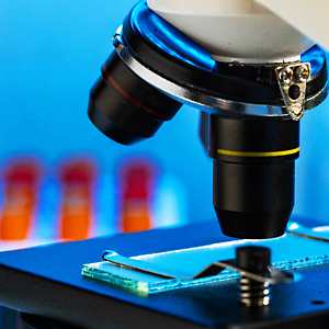 LABORATORIO APPARECCHIATURE