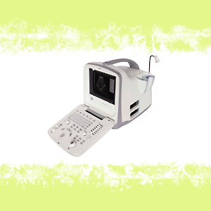ECOGRAFO CHISON 8300 VET CON SONDA MICROCONVEX