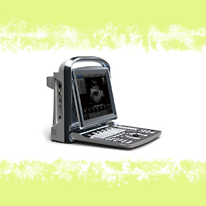 ECOGRAFO ECO 1 VET