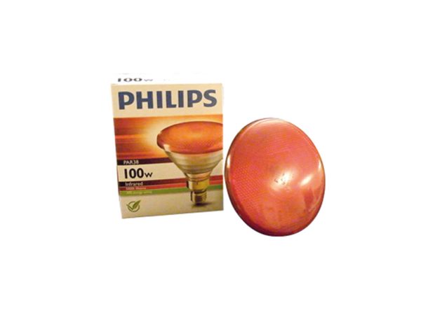LAMPADE RISCALDANTI E PORTALAMPADA - immagine 6