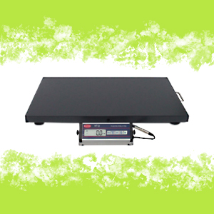 BILANCIA ELETTRONICA WUNDER