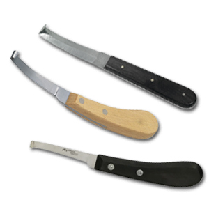 CURASNETTA HAUPTNER e NAZIONALI